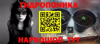 гидра Кунгур