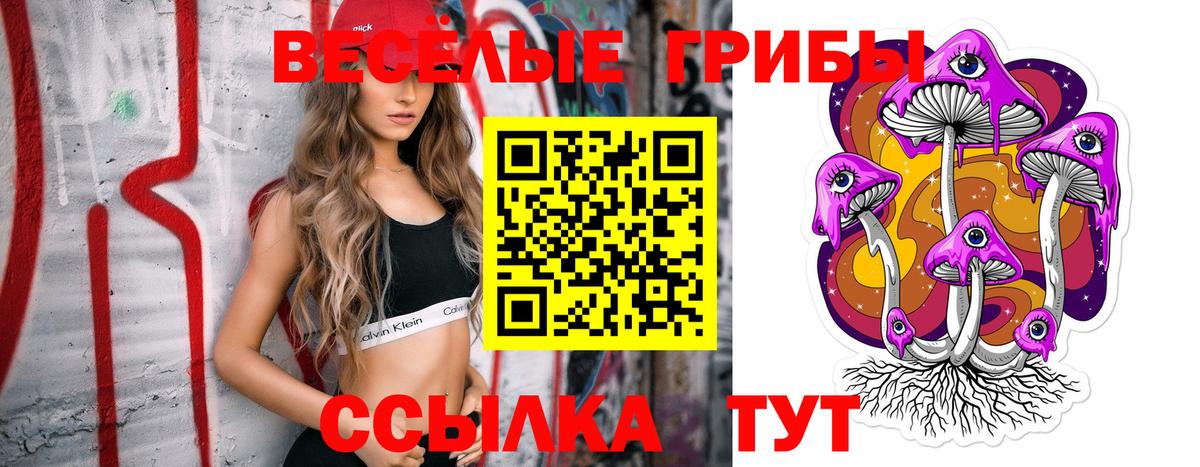 Галлюциногенные грибы ЛСД Каменск-Шахтинский