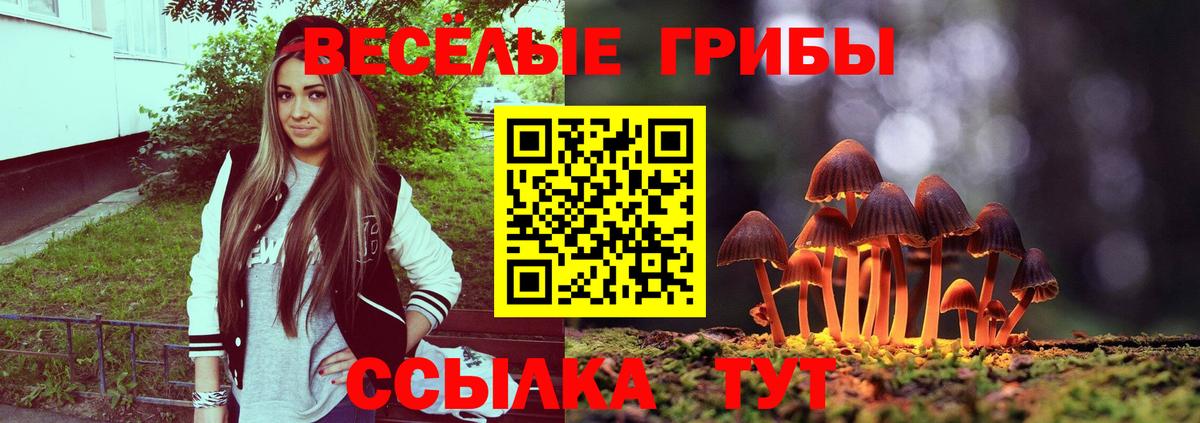 Галлюциногенные грибы Magic Shrooms  Галлюциногенные грибы MAGIC MUSHROOMS  Каменск-Шахтинский  Вход с VPN 